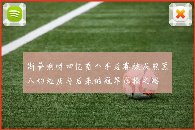 斯普利特回忆首个季后赛被灰熊黑八的经历与后来的冠军戒指之路