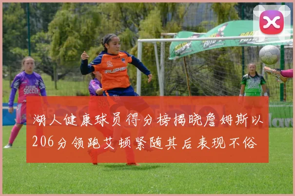 湖人健康球员得分榜揭晓詹姆斯以206分领跑艾顿紧随其后表现不俗