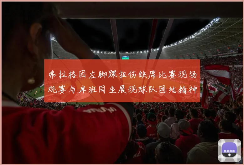 弗拉格因左脚踝扭伤缺席比赛现场观赛与库班同坐展现球队团结精神