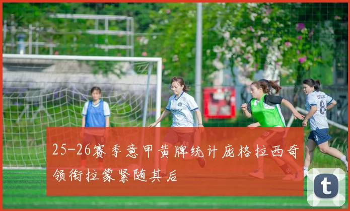25-26赛季意甲黄牌统计庞格拉西奇领衔拉蒙紧随其后